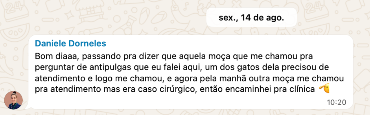 Mensagem da veterinária Daniele Dorneles contando que recebeu novos contatos para atendimento